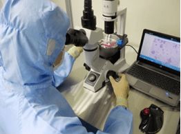 細胞技術服務與技術創(chuàng)新發(fā)展